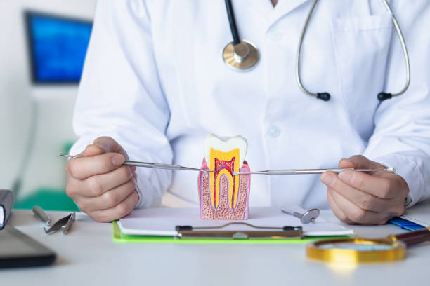 Best Orthodontic Emergency Dentist in Rolla, MO